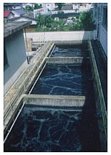 Production Plant waste water 